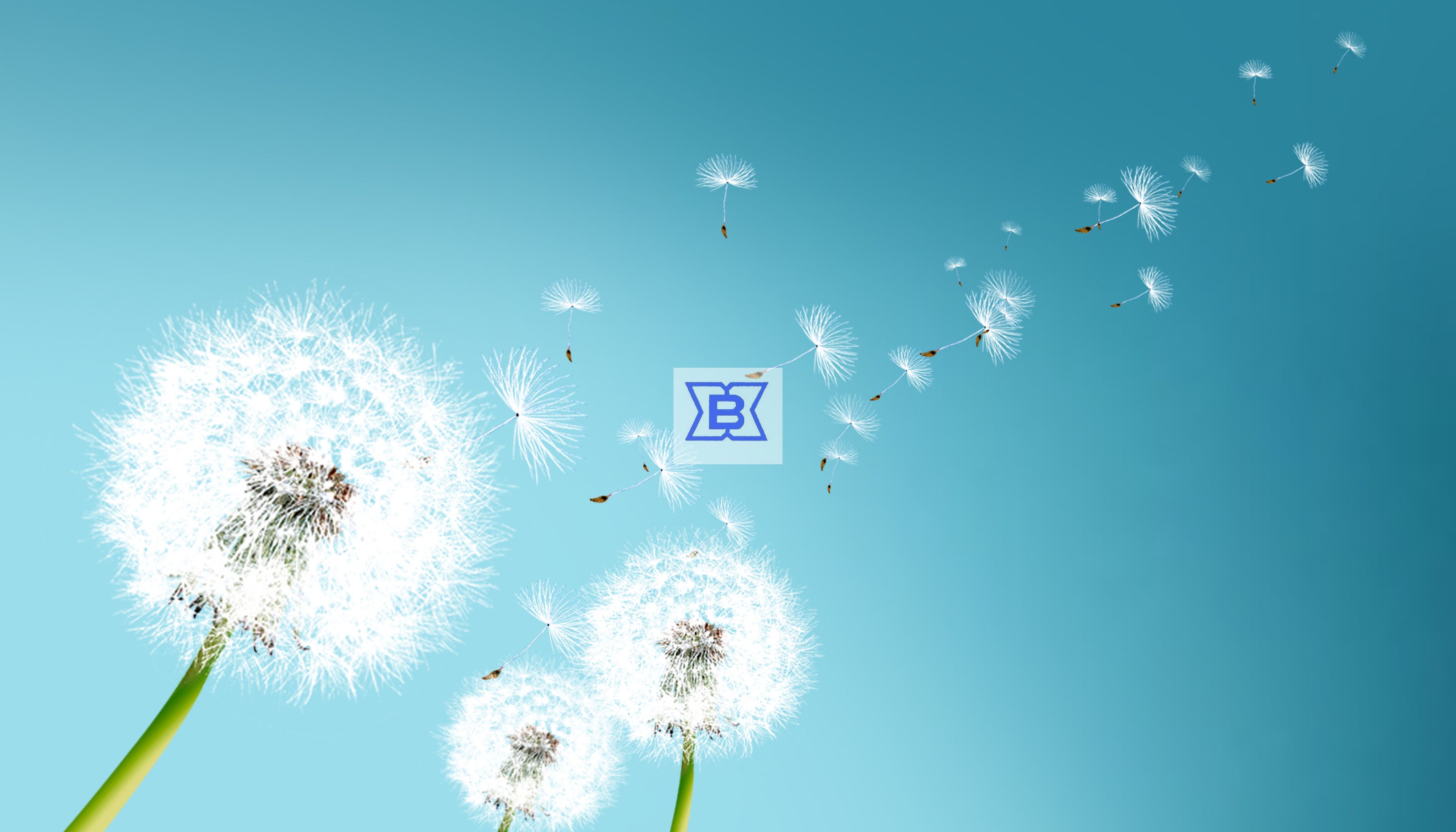豪利777(OLE777)官方网站